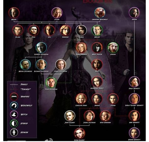 The Vampire Diaries Family Tree Vampire Diaries Enzo, Vampire Diaries Memes, Vampire Series, Vampire Diaries Poster, Vampier Diaries, The Vampire Diaries 3, Vampire Diaries Quotes, Vampire Diaries Wallpaper, Vampire Diaries Damon