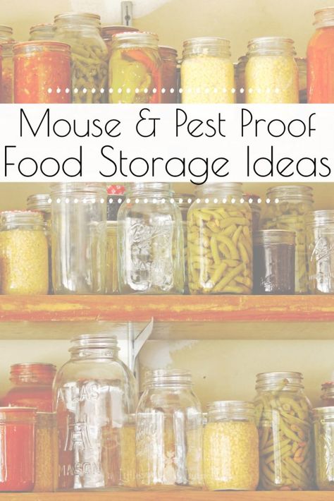 Are mice or other pests invading your hard-earned food storage? Protect your pantry from unwanted pests with these Mouse Proof Food Storage Ideas. #foodstorage #pestfree #miceprooffoodstorage #protectyourpantry #storingbulkfoods Food Storage Ideas, Food Storage Rooms, Emergency Preparedness Food Storage, Preppers Pantry, Food Spoilage, Emergency Preparedness Food, Emergency Food Storage, Canned Food Storage, Long Term Food Storage