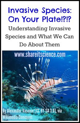 Invasive Species Social Studies For Kids, Wildlife Biology, Ap Environmental Science, Study Chemistry, Science Stem, Ap Biology, 6th Grade Science, Grade 10, Steam Activities