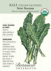 Botanical Interests - Kale - cool season Grow Kale, Dinosaur Kale, Tuscan Kale, Botanical Interests, Spinach Seeds, Seed Packaging, Bulbs Indoor, Family Board, Plant Delivery