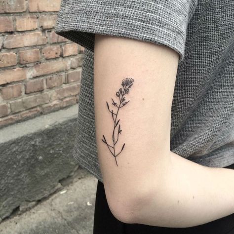 Mustard Seed Tattoo, Mustard Seed Plant, Seed Tattoo, Fenrir Tattoo, Ukrainian Tattoo, Wildflower Tattoo, Tattoo Trend, Floral Tattoos, Poppies Tattoo