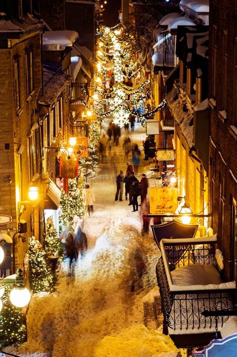 Christmas magic in Quebec City Quebec Christmas, Quebec City Canada Christmas, Christmas In Quebec City, Old Quebec City Christmas, Quebec City Christmas, Quebec City Winter, Valcartier Quebec Winter, Quebec Winter Carnival, Quebec Winter