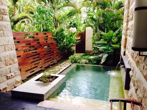 Private plunge pool Private Plunge Pool, Bali Pools, Soaking Pool, Backyard Hill Landscaping, Bali Living, Nusa Dua Beach, Bali Nusa Dua, Dipping Pool, Landscaping On A Hill