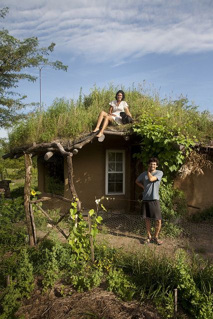 Cob Building, Casa Hobbit, Student Design, Earthship Home, Mud House, Earth Sheltered, A Small House, Living Roofs, Natural Homes