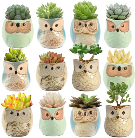 Small Pots For Plants, Plants Cute, Ceramic Succulent Pots, Owl Planter, Pots For Plants, Ceramic Succulent Planter, Small Pots, Ceramic Succulent, Animal Planters