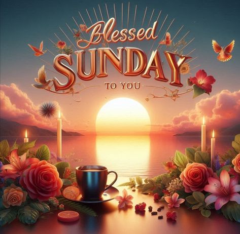 Blessed Sunday Easy Like Sunday Morning, Happy Sunday Quotes, Blessed Sunday, Sunday Morning, Happy Sunday, Beautiful Pictures, Quotes, Quick Saves