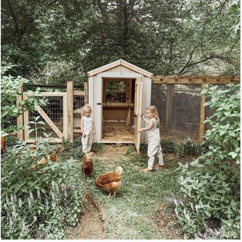 Cute Chicken Coops, Chicken Coop Garden, Collecting Eggs, Lauren Liess, Decorations Bedroom, Nice Homes, Backyard Chicken Farming, Design Homes, Decorating Kitchen