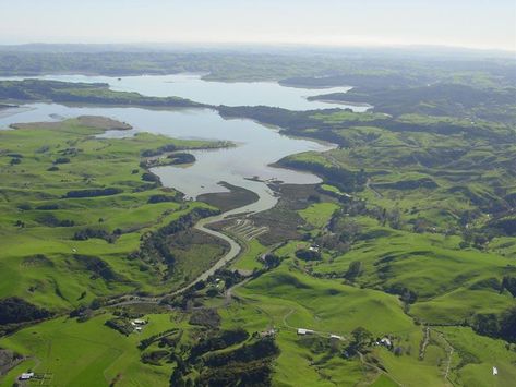 Restoration of estuarine ecosystems | NIWA Aesthetic Philippines, Aquatic Ecosystem, Bodies Of Water, Human Activity, Animal Species, Money Aesthetic, Ecosystem, Habitat, Fresh Water