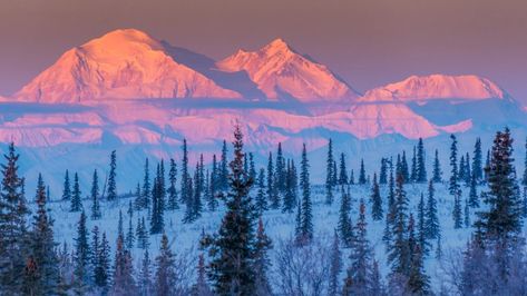 The Snowiest County in Every State – Page 2 – 24/7 Wall St. Alps Painting, Alaska Winter, Volcanic Mountains, National Parks America, Travel Quiz, Places In America, Sierra Nevada Mountains, Denali National Park, Breathtaking Places