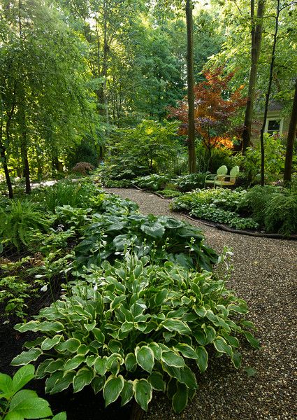 My Garden - Lori J Roach Photos Forest Landscaping Ideas, Forest Garden Design, Wooded Backyard Landscape, Forest Landscaping, Wooded Backyard, Pacific Northwest Garden, Garden From Scratch, Shade Landscaping, Landscape Tips