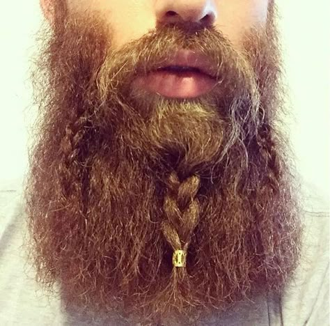 Beard Dreads, Pirate Beard, Viking Beard Styles, Mans Face, Braids Beads, Braided Beard, Beard Ideas, Beard Rules, Beard Beads