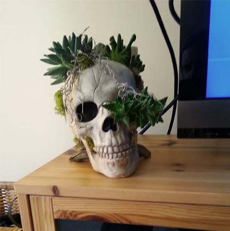 Skeleton Planter, Skull With Plants, Skull Planter, Gothic Garden, Deco Nature, Goth Home, Inside Plants, Goth Home Decor, Succulent Wedding