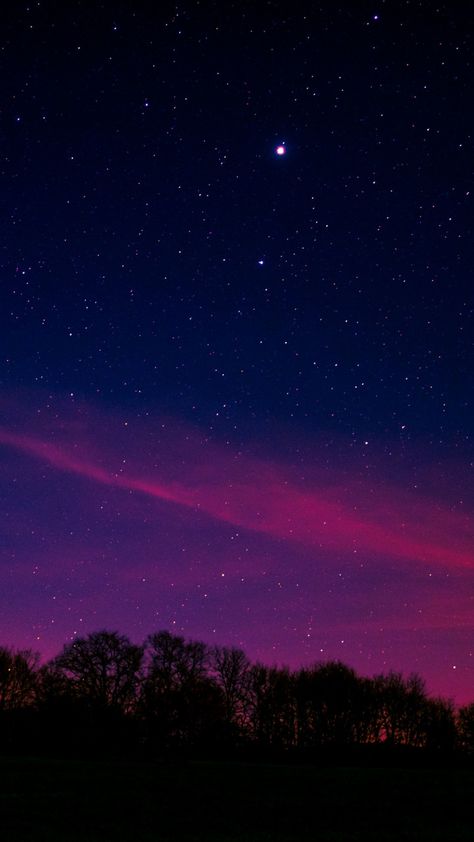 Blue pink sky, starry night, nature, 720x1280 wallpaper The Night Sky, Night Sky, Trees, Stars, Purple, Pink