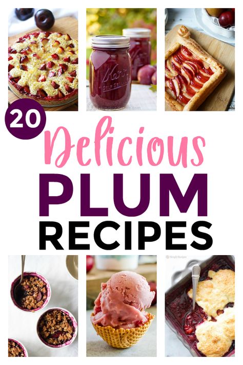 Santa Rosa Plum Recipes, Uses For Plums, Frozen Plum Recipes, Recipes With Plums Healthy, Overripe Plum Recipes, Over Ripe Plum Recipes, Roast Plums, Cinnamon Streusel Cake, Coconut Tapioca Pudding