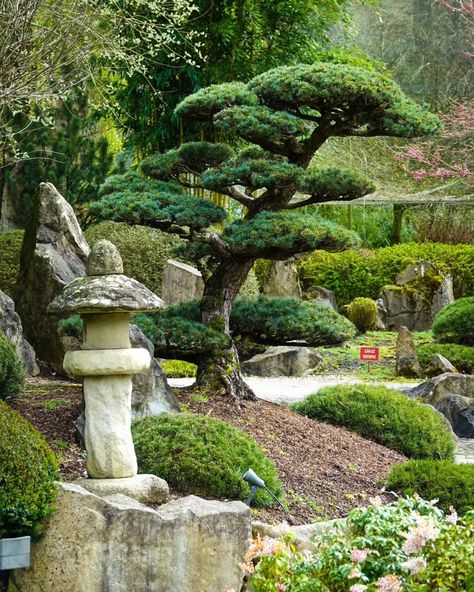 24 Japanese Garden Ideas to Transform Your Backyard into a Serene Oasis - placeideal.com Garden Ideas Simple, Indoor Japanese Garden, Mini Japanese Garden, Japanese Garden Ideas, Japanese Courtyard, Stone Bird Baths, Japanese Garden Landscape, Moon Gate, Koi Ponds