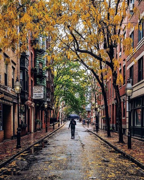 IGersBoston on Instagram: “One of Boston’s most picturesque and historic areas, Beacon Hill.  It’s charm can be enjoyed throughout the seasons. Beautiful picture…” Boston Brownstone, Boston Living, Boston Aesthetic, Beacon Hill Boston, Boston Street, Van Camp, England Aesthetic, Visiting Boston, Boston Travel