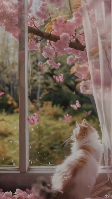 Cat In A Window, Wallpaper Rosa, ليلو وستيتش, Cats Art Drawing, Very Beautiful Flowers, Pink Wallpaper Girly, Wild Animals Pictures, Cat Picture, Cute Little Kittens