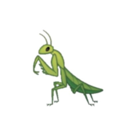 Praying mantis [as an emoji] (Drawing by Disney) #DisneyEmojiBlitz Prey Mantis Drawing, Praying Mantis Cartoon, Praymantis Drawing, Praying Mantis Character Design, Praying Mantis Oc, Bug Drawing Simple, Mantis Oc, Cute Praying Mantis, Praying Mantis Drawing