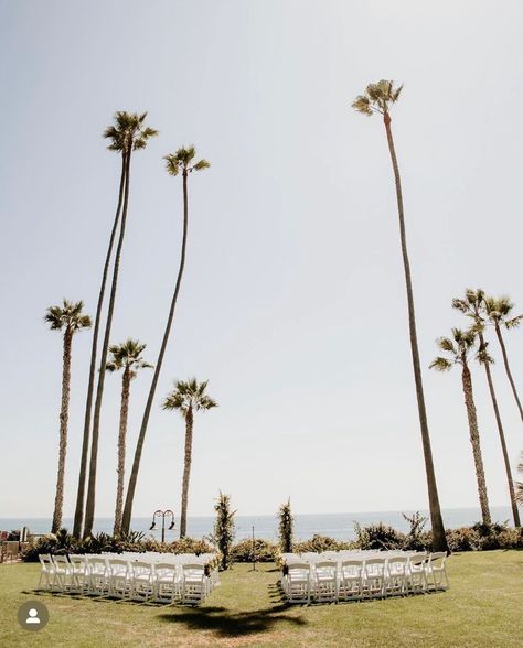 Beach Club, Wedding Photography, Photography