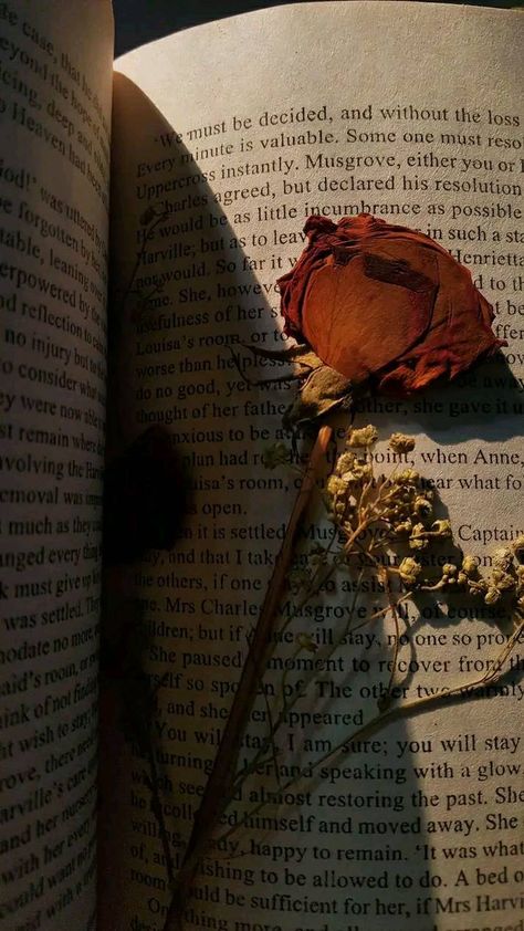 Books Aesthetic Jane Austen, Wilting Rose Aesthetic, Jane Austen Lockscreen, Book And Rose Aesthetic, Books Flowers Aesthetic, Flower And Book Aesthetic, Flowers In Books Aesthetic, Book Aesthetic Vintage Dark, Dry Rose In Book