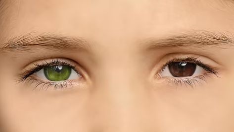 What Is the Rarest Eye Color? | HowStuffWorks Rarest Eye Color, People With Green Eyes, All Eye Colors, People With Blue Eyes, Rare Eye Colors, Rare Eyes, Blue Eye Color, Light Blue Eyes, Human Body Systems