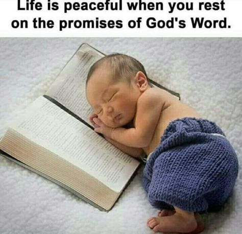 Life is peaceful when you rest in the promises of God’s Word. #KWMinistries Psalm 3, Foto Baby, Christian Memes, Gods Promises, Faith In God, Trust God, Spiritual Quotes, Christian Quotes, Psalms