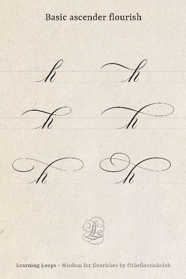 The ascender is an invitation to create a flourish. Read this blogpost if you are interested in learning how to flourish. . #learn #flourishing #flourish #calligraphy #tips #lettering #handlettering #penman #copperplate #roundhand #flourishes #learning #theflourishclub #embellishment #art #tutorial #copperplate Calligraphy Tips, Invitation To Create, Flourish Calligraphy, Handwriting Examples, Hand Lettering Worksheet, Pretty Handwriting, Calligraphy Tutorial, Hand Lettering Practice, Copperplate Calligraphy