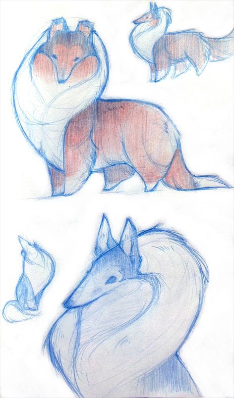 Different Animals, Canine Art, Arte Sketchbook, Dessin Adorable, Animal Sketches, Dog Drawing, 영감을 주는 캐릭터, Cute Animal Drawings, Design Reference