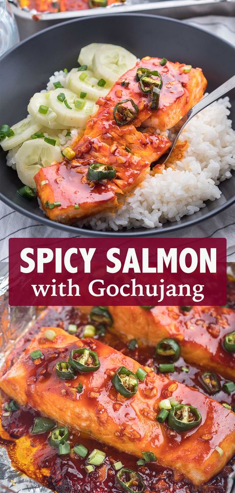 Sweet and spicy salmon with Korean glaze sauce on top of rice and cucumbers Korean Salmon Recipe, Gojuchang Recipe, Spicy Salmon Recipes, Berry Trifle Recipe, Salmon Steak Recipes, Asian Salmon Recipes, Salmon Recipes Oven, Salmon Bites Recipe, Cake Pizza