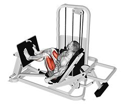 Lever Seated Leg Press - Video Guide | Lyfta Leg Press Workout, Single Leg Press, Seated Leg Press, Leg Press Machine, Squat Machine, Lower Body Muscles, Muscle Imbalance, Calf Raises, Leg Press