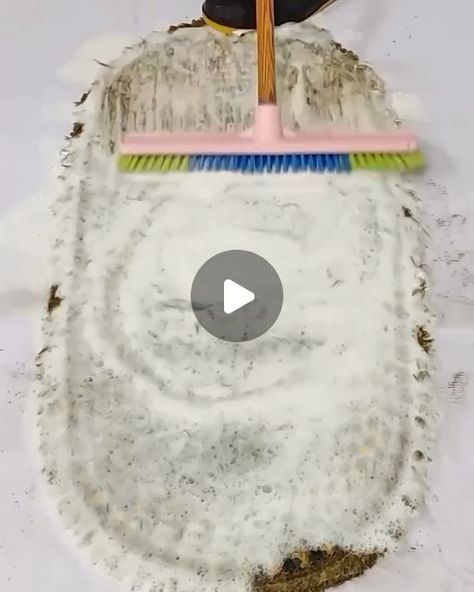 Carpet Asmr Luna on Instagram: "#carpetgrooming #rugbrushing #asmrsounds #asmr #brush #brushing #clean #reel #reels #carpetbrushing #satisfying #satisfyingvideos #carpetcleaning #carpetwashing #carpetcleaningservice #carpetasmr #carpetgrooming #rugwashing #rugscrubbing #ruggrooming #rugscraping #carpetscraping #scraping" Carpet Cleaning Videos, Cleaning Videos, Carpet Cleaning Service, Carpet Cleaning, How To Clean Carpet, Brushing, Small Rugs, Rugs On Carpet, Carpet