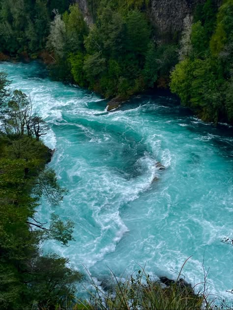 Virgin River Wallpaper Aesthetic, Forest Meets Ocean, River Mood Board, Teal Water Aesthetic, Blue River Aesthetic, Aesthetic Turquoise Wallpaper, Turquoise Green Aesthetic, Forest River Aesthetic, Green And Blue Aesthetic