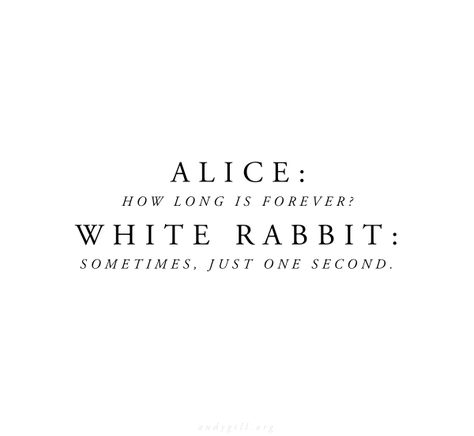 Ryan Aesthetic, Rabbit Quotes, Alice In Wonderland Quotes, Children Book Quotes, Inspirational Quotes Background, Alice And Wonderland Quotes, Forever Quotes, Disney Quotes, Manifestation Quotes