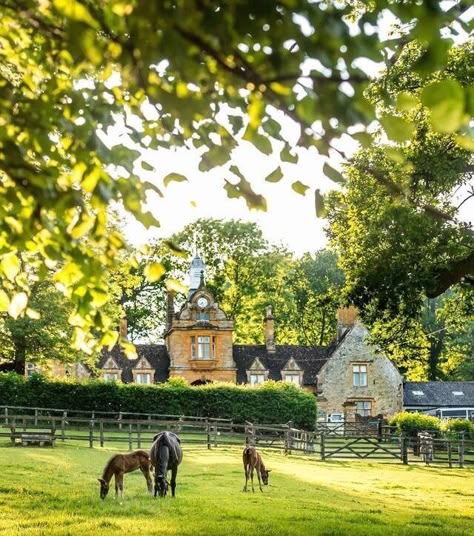 English Cottage Dreams! : Photo English Farm, Farm Estate, Dream Stables, English Horse, Dream Barn, Countryside House, Horse Ranch, The Fox And The Hound, Horse Stables