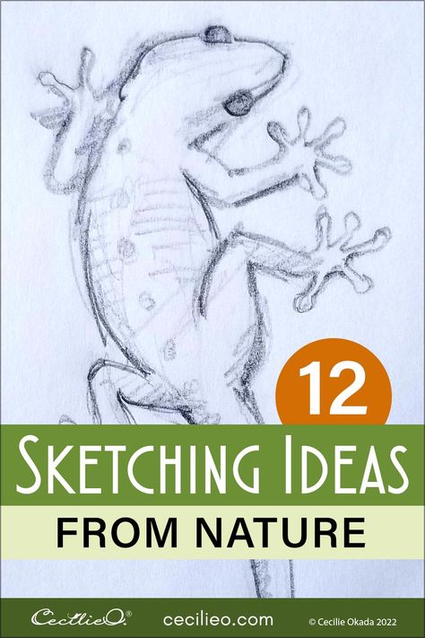 Beginner Sketching Ideas from Nature Drawing Ideas Nature, Pencil Sketches Of Animals, Sketching Nature, Sketch Drawing Ideas, Animal Sketches Easy, Sketch Nature, Beginner Drawing Lessons, Beginner Drawing, Beautiful Pencil Drawings