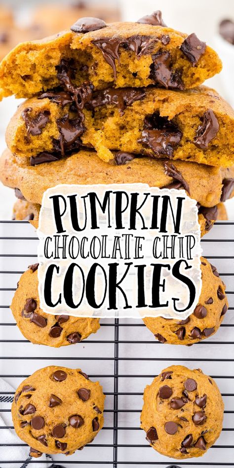 Soft, perfectly pumpkin-y, and dotted with chocolate chips, these Pumpkin Chocolate Chip Cookies will soon be everyone’s favorite fall cookie. Pumpkin Chocolate Chip Cookies Fluffy, Pumpkin Chocolate Cookies Recipes, Chocolate Chip Cookies Pumpkin, Pumpkin Chocolate Chip Cookies Soft, Easy Chocolate Chip Pumpkin Cookies, Pumpkin Nyc Cookies, Cakey Pumpkin Chocolate Chip Cookies, Choc Chip Pumpkin Cookies, Fluffy Pumpkin Chocolate Chip Cookies