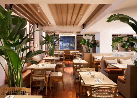 Tommy Bahama store by Michael Neumann Architecture, New York City » Retail Design Blog Eating Restaurant, French Buildings, Queen Anne House, Pub Interior, Pub Design, Elegant Interior Design, Restaurant Management, Modern Restaurant, Tommy Bahama Furniture