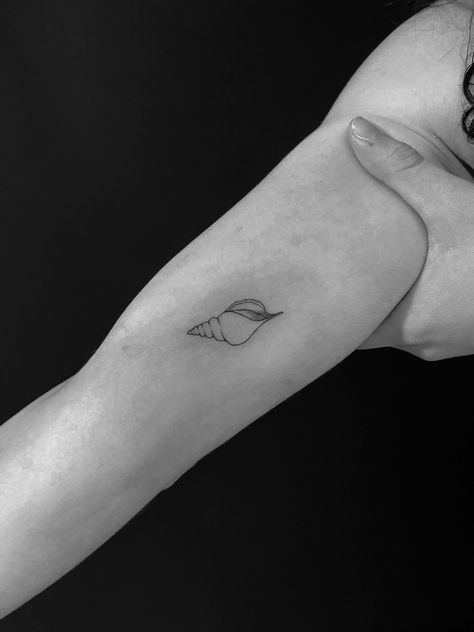 Shell Tattoo Minimalist, Fine Line Shell Tattoo, Tattoo Seashell, Conch Shell Tattoo, Shell Tattoo, Bali Tattoo, Shell Tattoos, Matching Tattoo, Makeup Tattoos