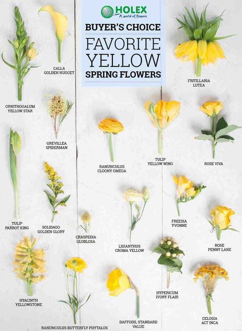 Types Of Yellow, Floral Design Inspiration, Spring Floral Design, Ftd Flowers, Yellow Spring Flowers, Flowering Bushes, Evergreen Garden, Narcissus Flower, Spring Wedding Decorations