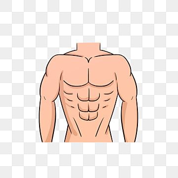 Bar Image, Workout Posters, Muscle Man, Body Pose Drawing, Six Pack Abs, Party Background, Medical Technology, Abdominal Muscles, Workout Machines