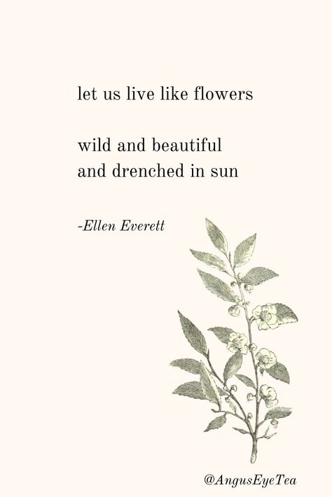 Plant Happiness Quotes, Poetry About Flowers, Quotes About Plants, About Flowers, Wildflower Quotes, Quotes About Flowers, Flowers Notes, Flower Quotes Inspirational, Flower Poetry