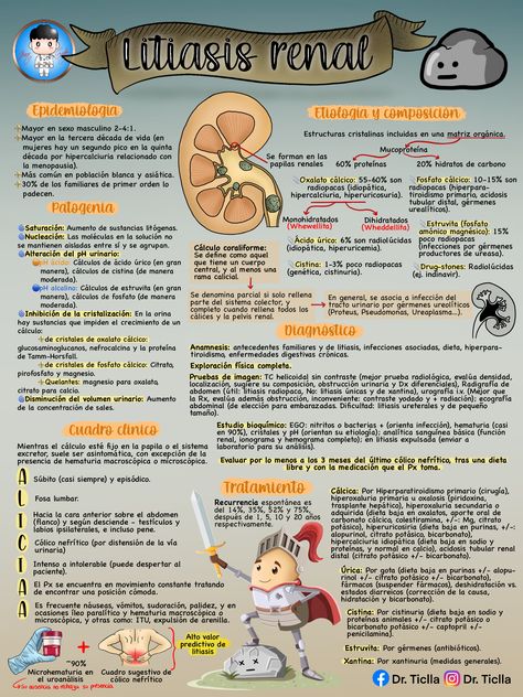 Litiasis renal 👨🏻‍⚕️ #calculos #piedras #riñon #medicina Nursing Student Quotes, Medicine Notes, Cristina Yang, Medicine Student, Nursing Notes, Veterinary Medicine, School Study Tips, Med School, Studying Inspo