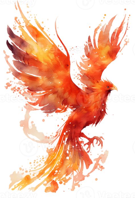 Harry Potter Phoenix Bird, Phoenix Painting, Phoenix Drawing, Phoenix Artwork, Phoenix Images, Harry Potter Painting, Hybrid Art, Phoenix Design, Phoenix Art