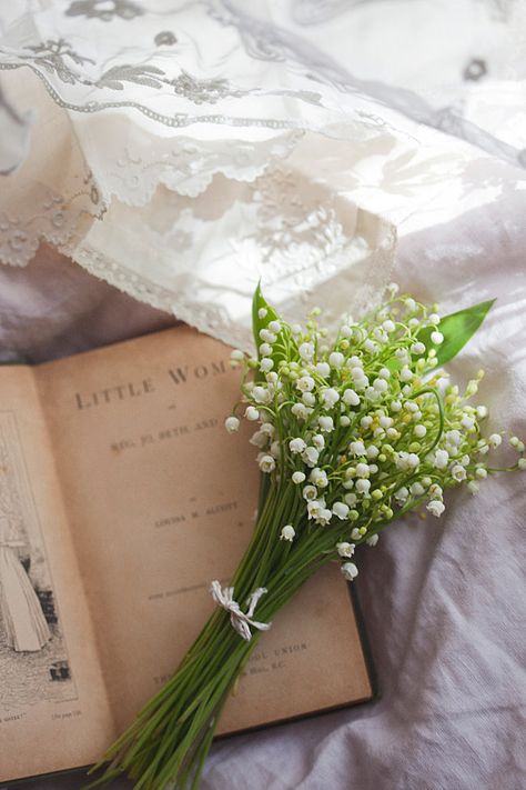 Lilly + Core + Aesthetic, Lily Of The Valley Bouquet, Lily Of The Valley Flowers, Valley Flowers, Aesthetic Garden, Garden Aesthetic, Spring Mood, Cottage Core Aesthetic, Happy Birthday Messages