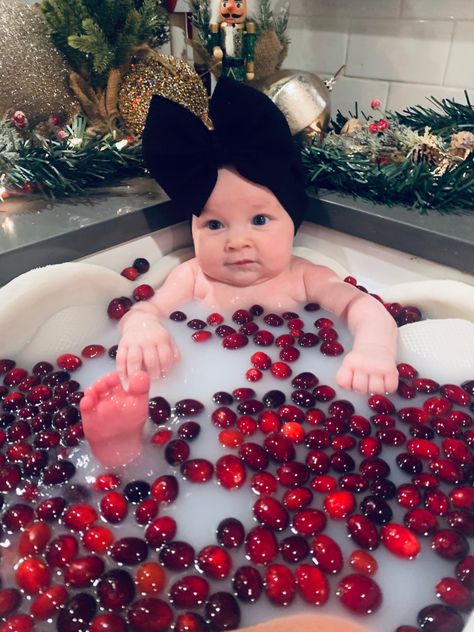 Expecting Baby Photoshoot, Milk Bath Christmas Photography, Holiday Milk Bath Photography, Christmas Milk Bath Baby, Baby Christmas Sink Pictures, Fall Milk Bath Photography, Winter Milk Bath Maternity, Valentines Milk Bath Baby, Baby Milk Bath