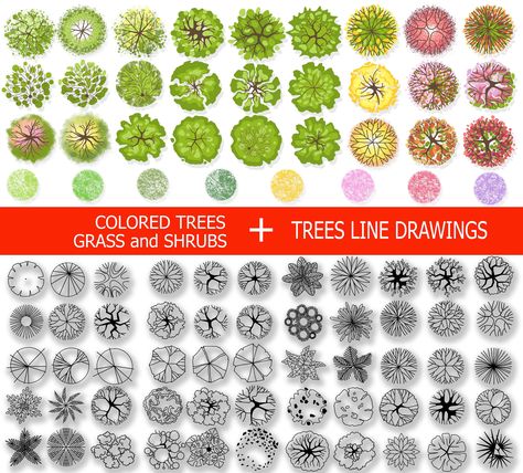 Landscape Tree Plan View, Tree stamps, Landscape tree Symbols, Landscape design templates, Custom brush,  Architectural symbol, Digital Tree Tree Plan Png, Tree Line Drawing, Trees Top View, Tree Plan, Png Illustration, Tree Templates, Tree Clipart, Tree Stamp, Plan Drawing