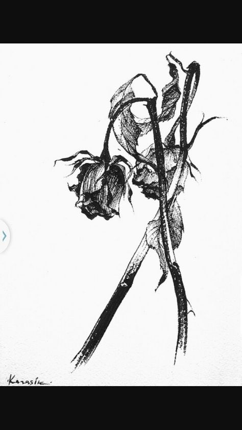 Omggg Wilting Rose, Rose Black And White, Wilted Rose, Arm Tattoos Drawing, Black And White Google, Aesthetic Black And White, Rose Sketch, Rose Aesthetic, Rosé Black And White