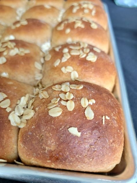 Wheat Rolls, Sourdough Rolls, Simple Family Meals, Honey Wheat, Honey Oats, Favorite Recipes Dinner, Lou Lou, Wheat Bread, Biscuit Recipe