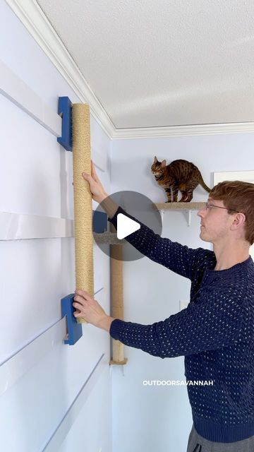 Cat Play Wall, Cat Climbing Wall Diy, Cat Playroom, Modular Cat Wall, Cat Wall Furniture Diy, Cat Shelves Diy Climbing Wall, Cat Climbing Wall Carpet, Cat Jungle Gym Wall, Diy Cat Playground On Wall