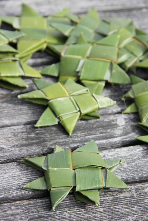 How To Make Harakeke Whetū - Flax Stars - This Splendid Shambles Flax Designs, Flax Weaving, Coconut Leaves, Flax Flowers, Weird Plants, Weaving Tutorial, Diy Posts, Star Garland, Star Diy